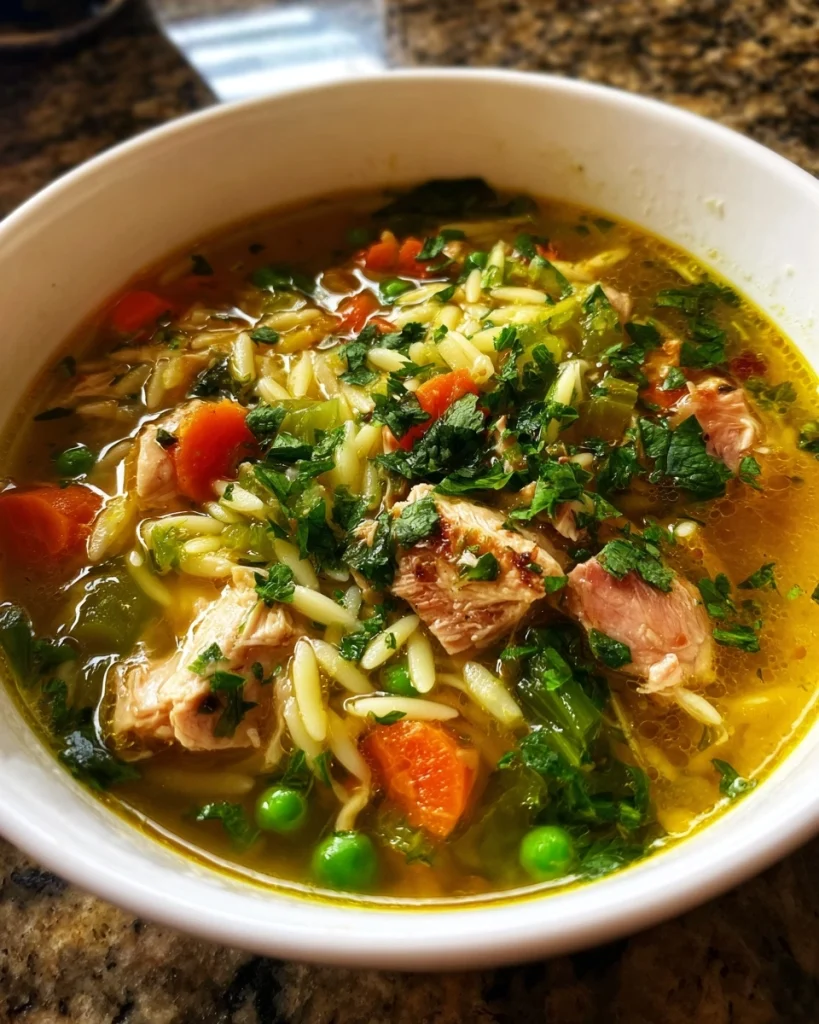 The Best Chicken Orzo Soup I’ve Ever Made (Family-Approved!)